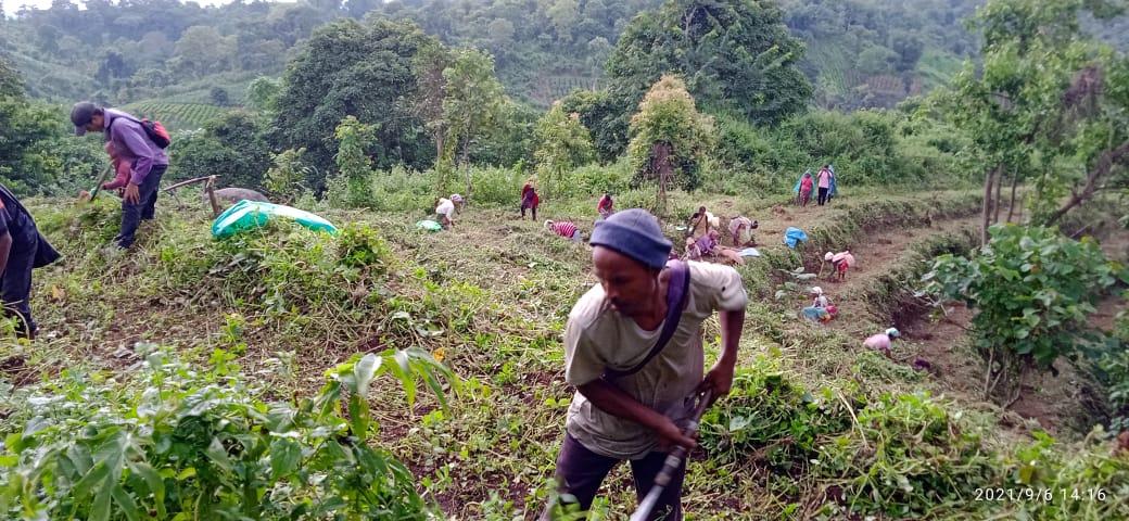 C:\Users\Nitro5\Downloads\mewan yt\WhatsApp Image 2023-03-14 at 5.54.30 PM (2).jpeg